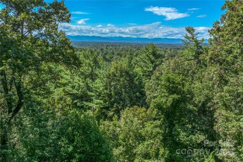 5 Horizon Hill Road Asheville NC 28804