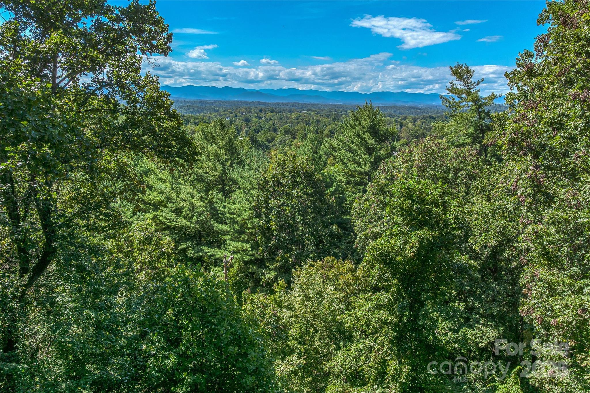 5 Horizon Hill Road Asheville NC 28804