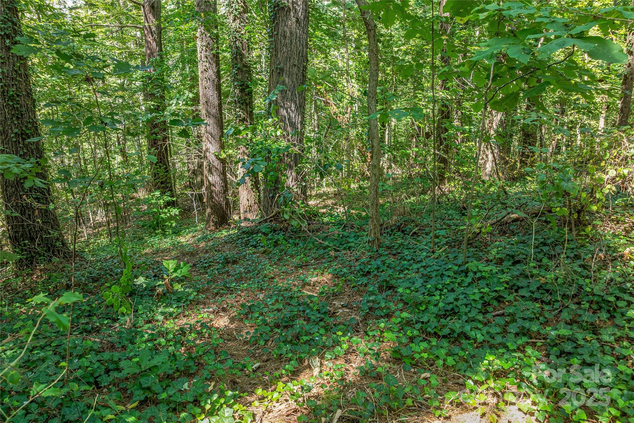 5 Horizon Hill Road Asheville NC 28804