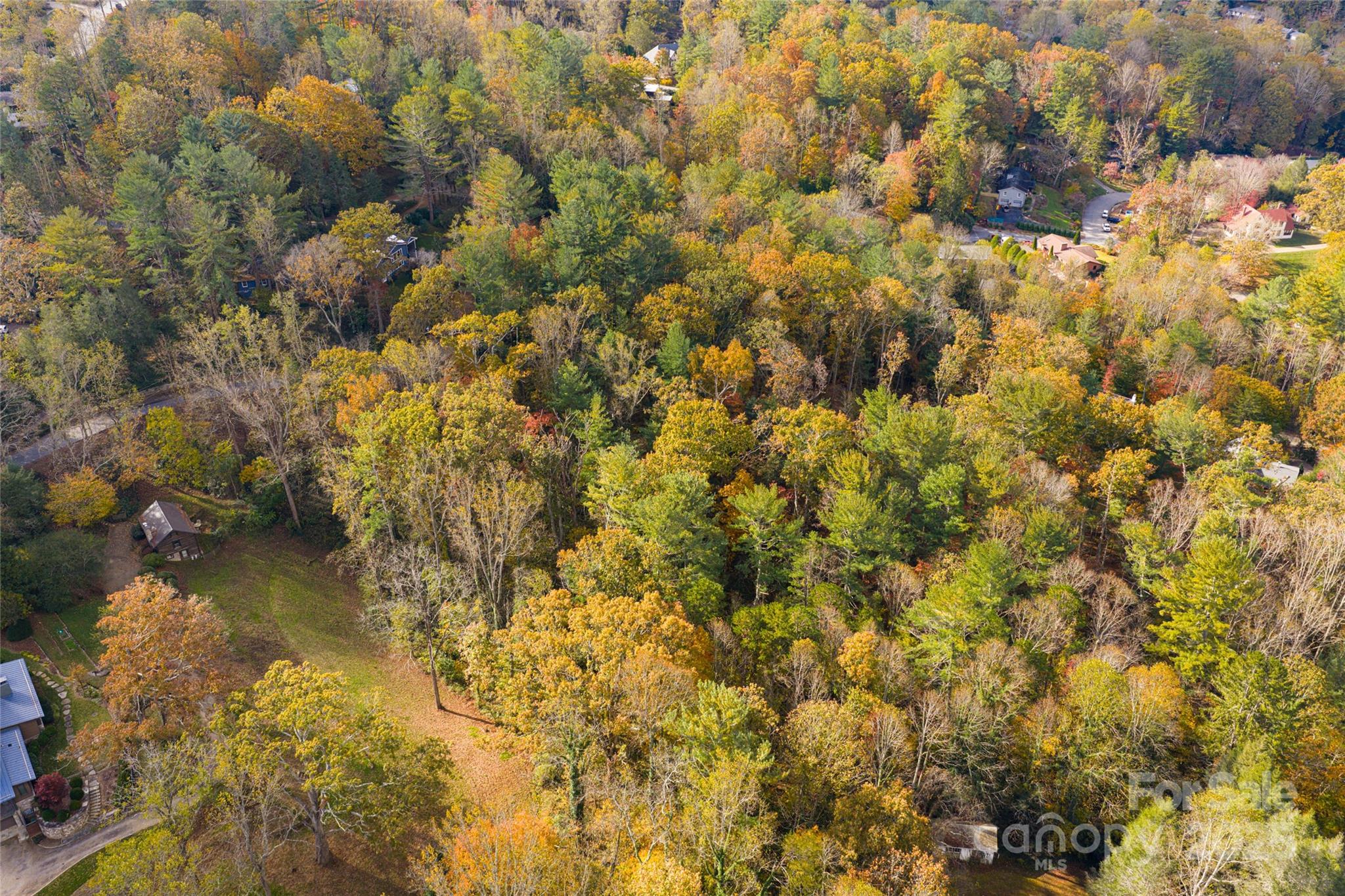 5 Horizon Hill Road Asheville NC 28804