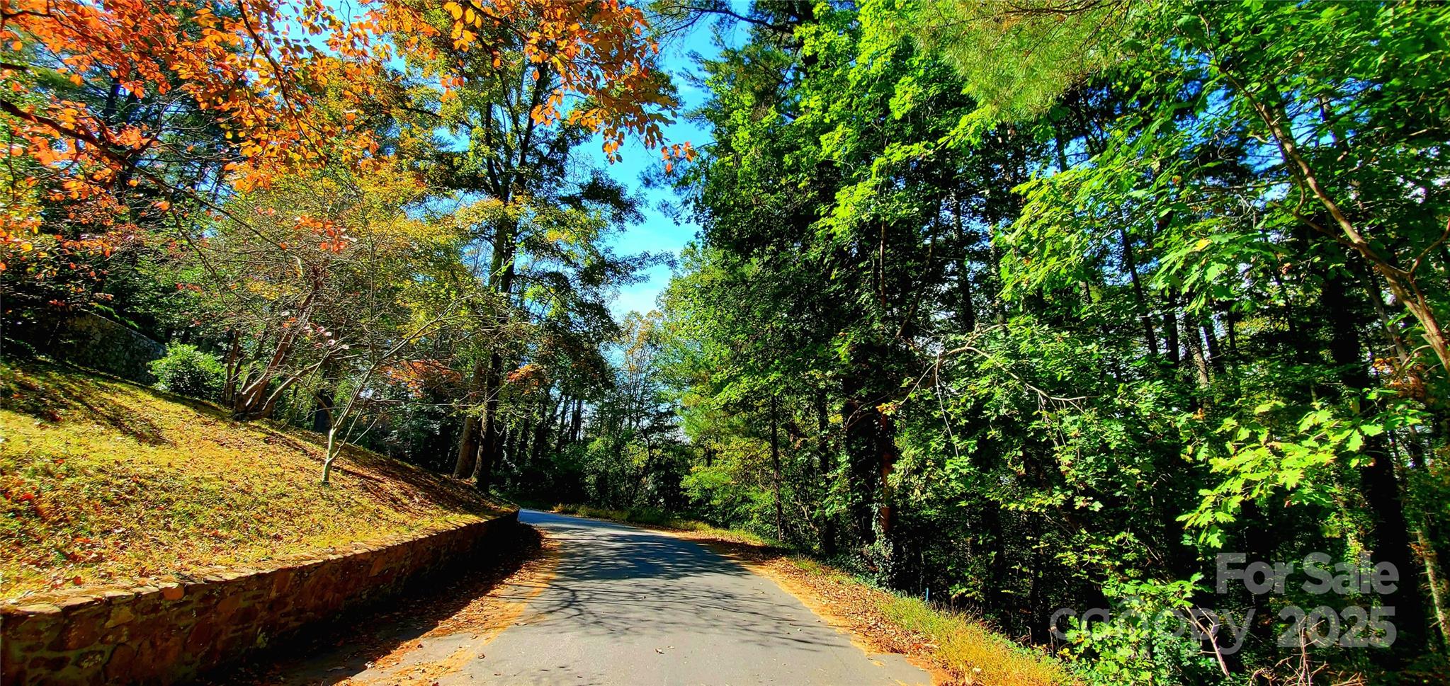 5 Horizon Hill Road Asheville NC 28804
