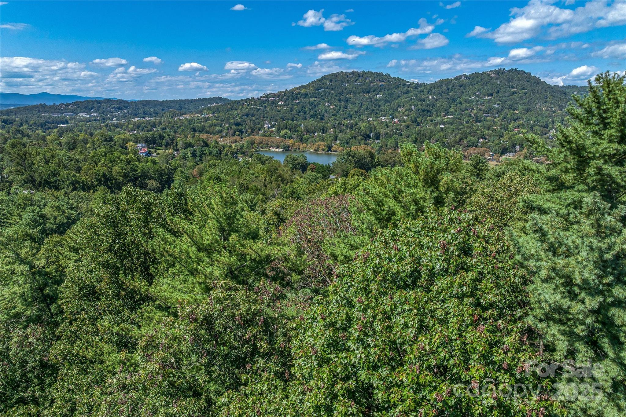 5 Horizon Hill Road Asheville NC 28804