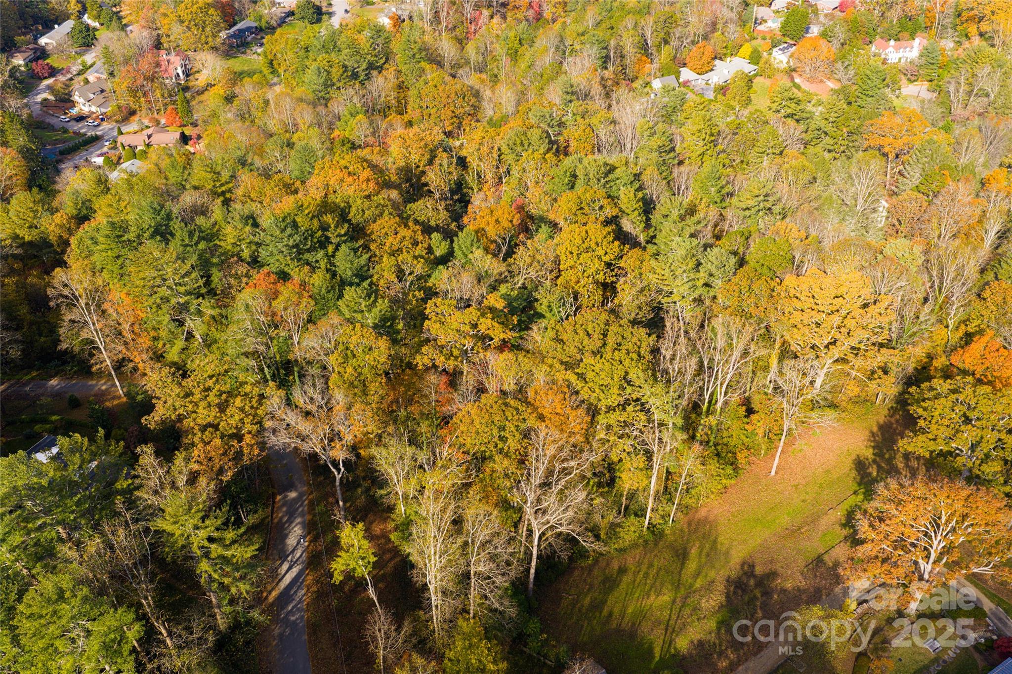 5 Horizon Hill Road Asheville NC 28804