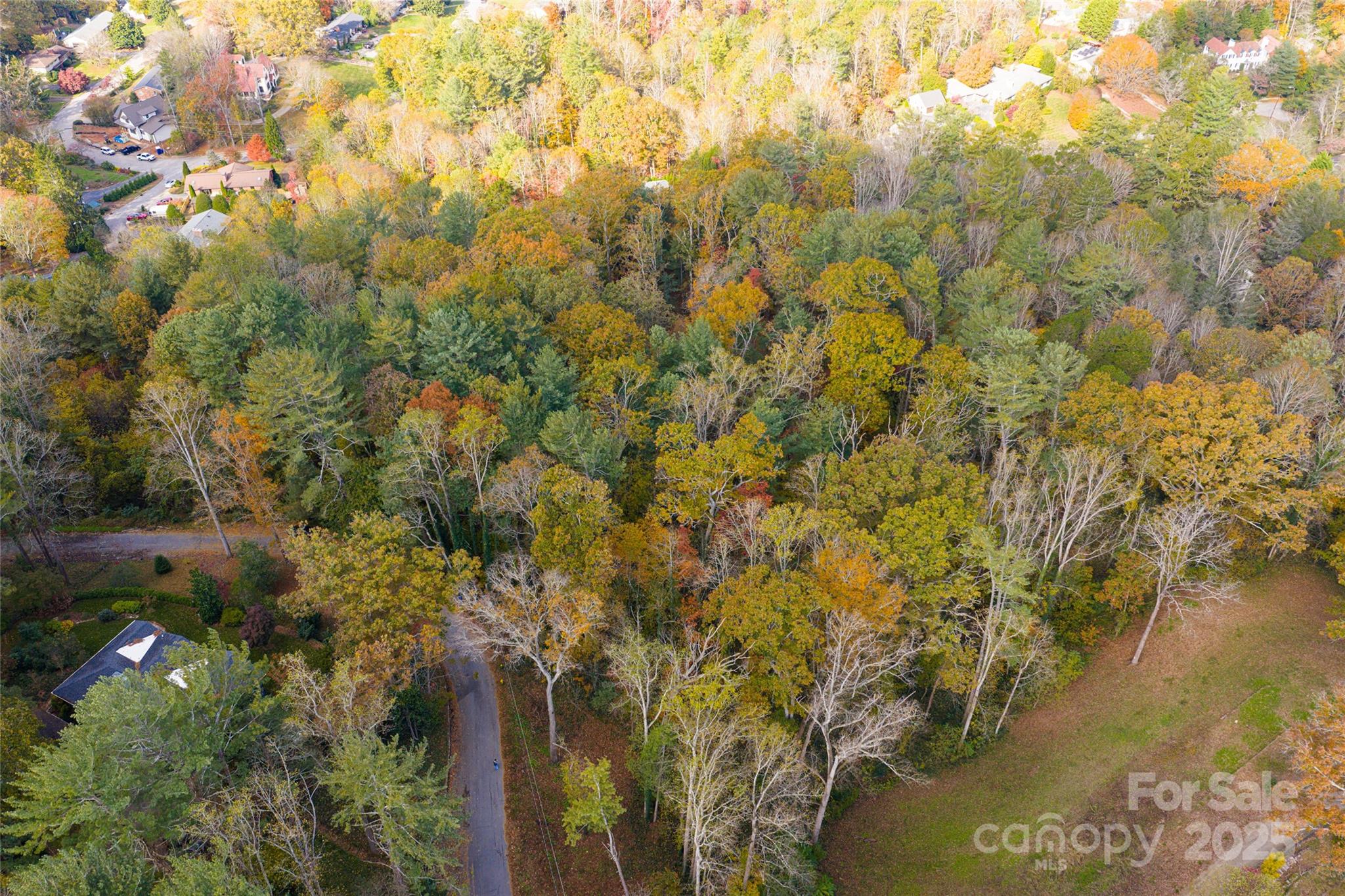 5 Horizon Hill Road Asheville NC 28804