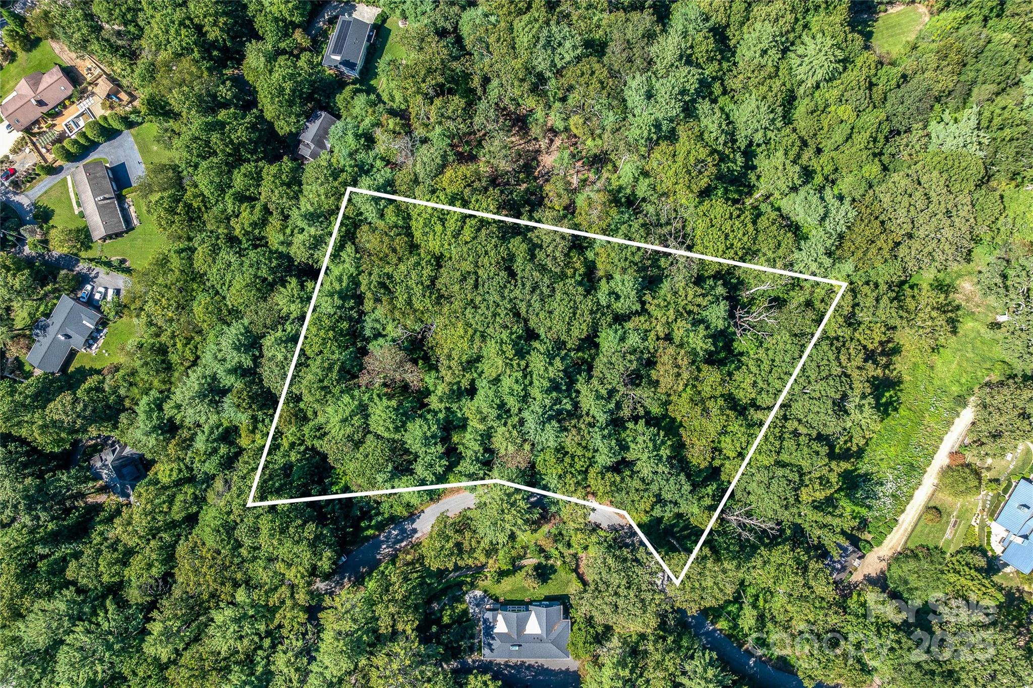 5 Horizon Hill Road Asheville NC 28804