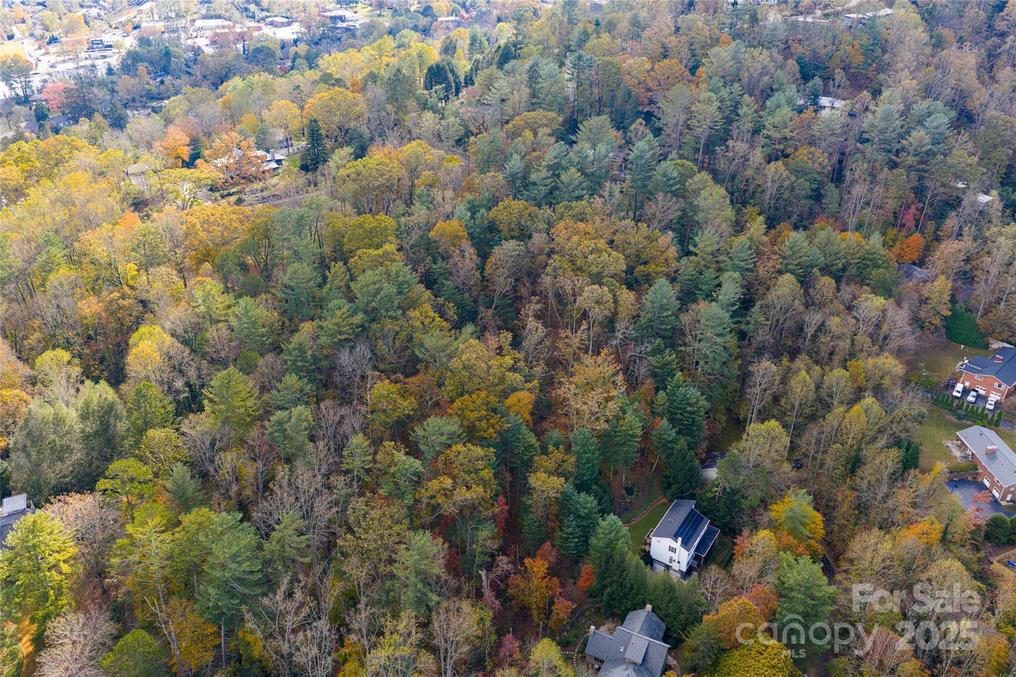 5 Horizon Hill Road Asheville NC 28804