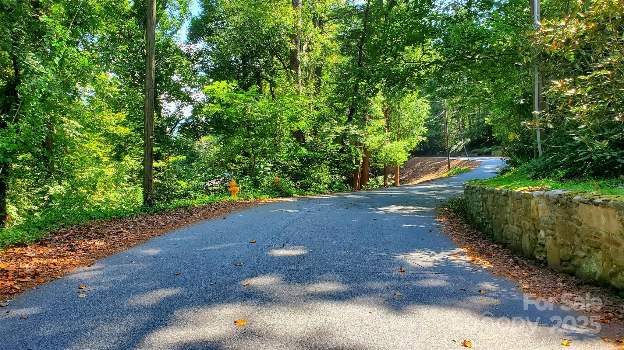 5 Horizon Hill Road Asheville NC 28804