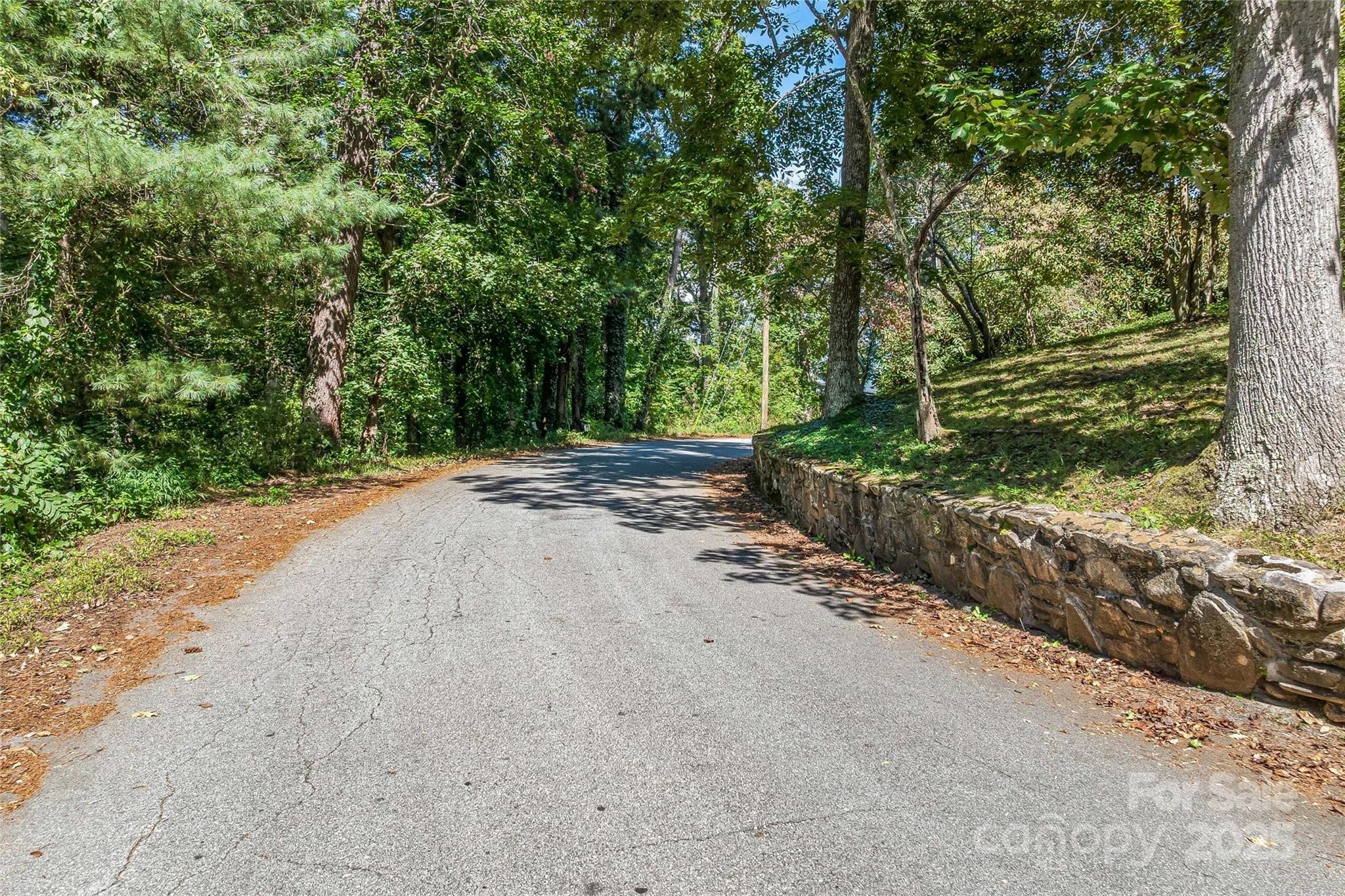 5 Horizon Hill Road Asheville NC 28804