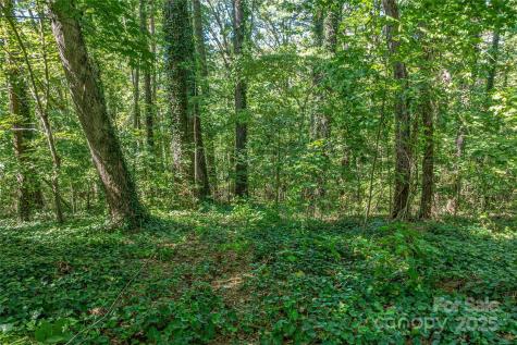 5 Horizon Hill Road Asheville NC 28804