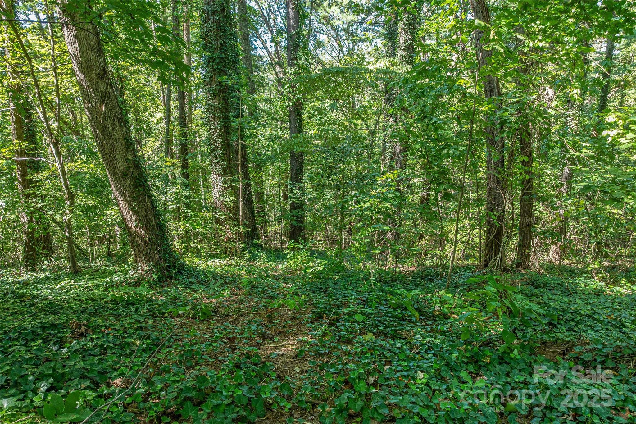 5 Horizon Hill Road Asheville NC 28804