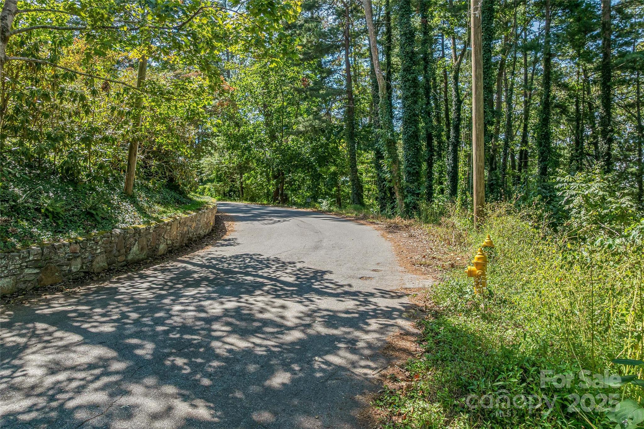 5 Horizon Hill Road Asheville NC 28804
