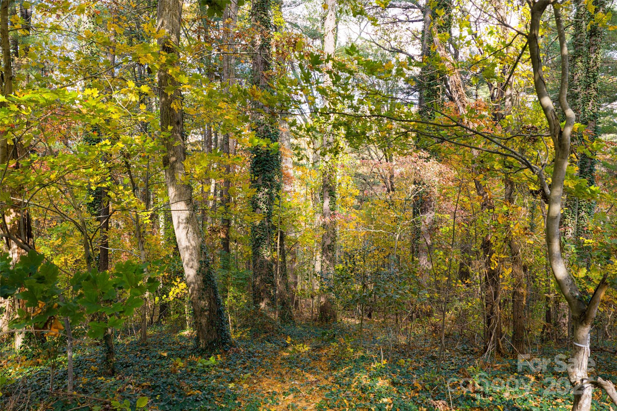 5 Horizon Hill Road Asheville NC 28804