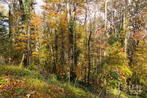 5 Horizon Hill Road Asheville NC 28804