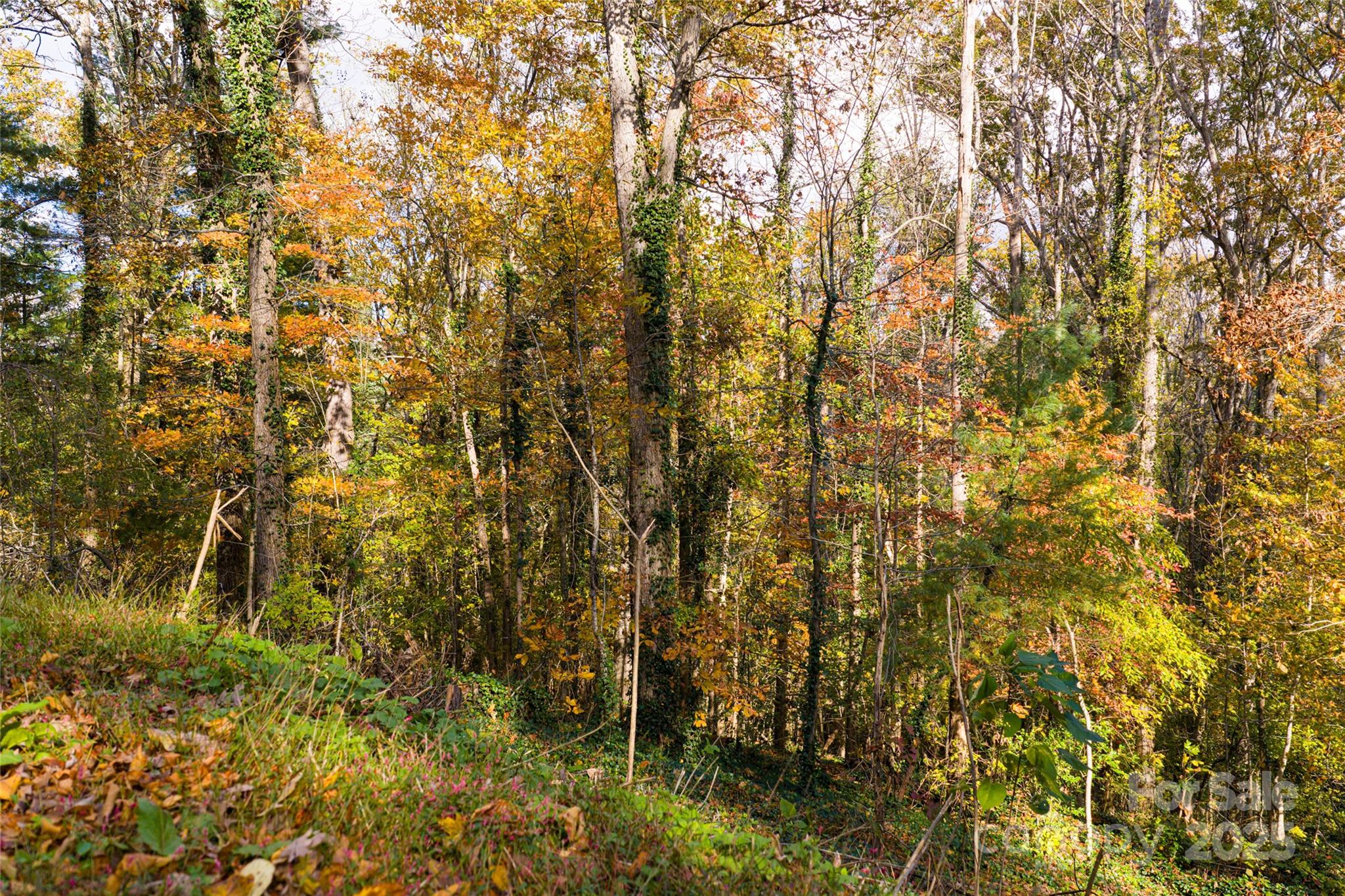5 Horizon Hill Road Asheville NC 28804