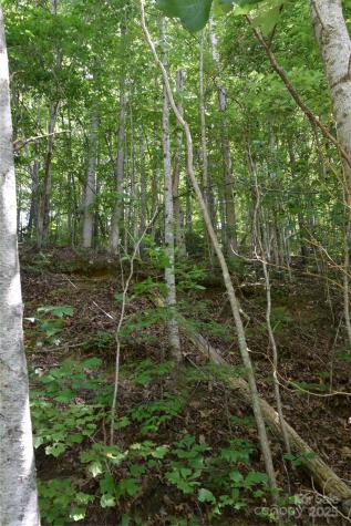 Tbd Hideaway Ridge Trail Robbinsville NC 28771