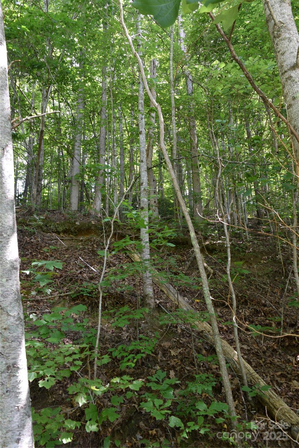 Tbd Hideaway Ridge Trail Robbinsville NC 28771