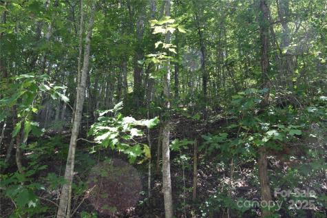 Tbd Hideaway Ridge Trail Robbinsville NC 28771