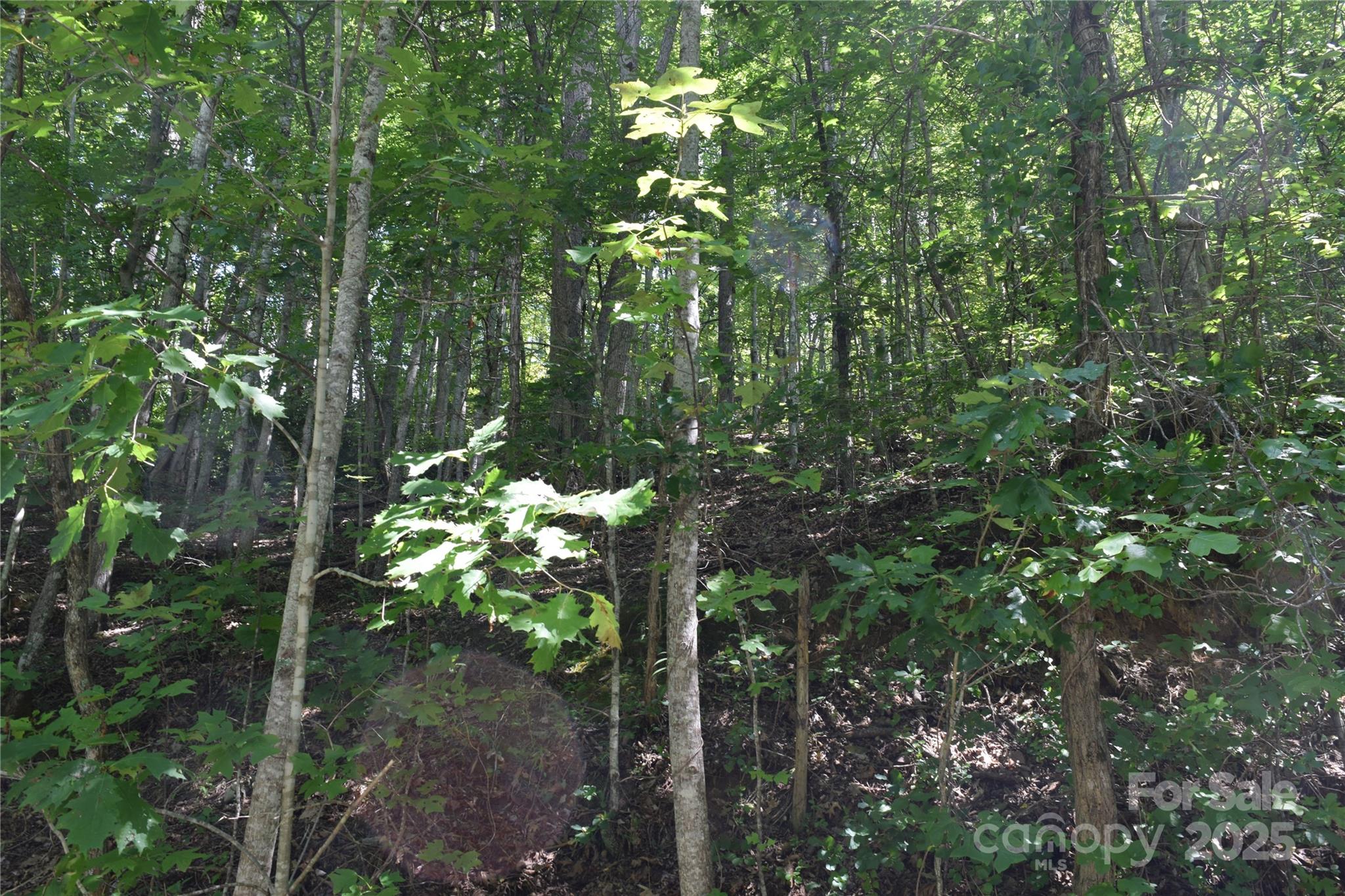 Tbd Hideaway Ridge Trail Robbinsville NC 28771