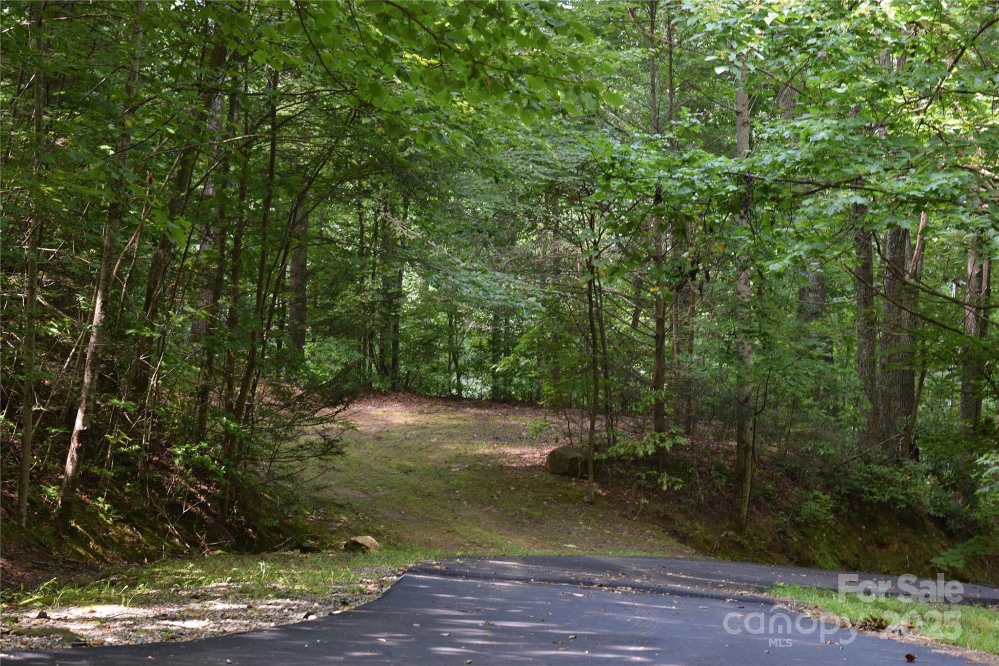 Tbd Hideaway Ridge Trail Robbinsville NC 28771