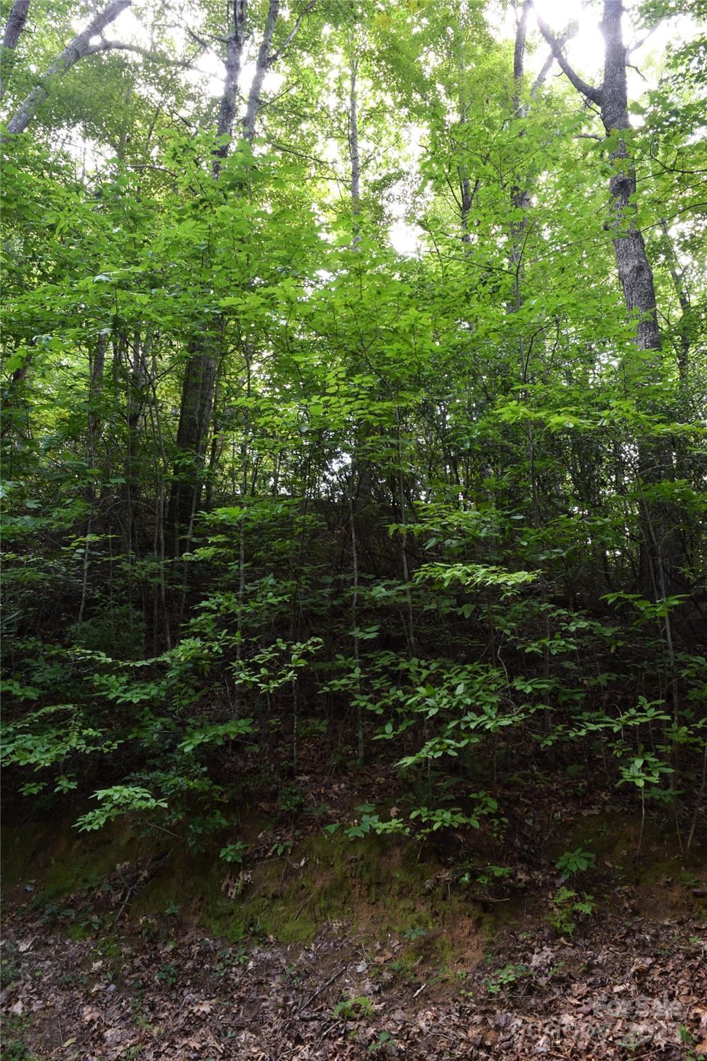 Tbd Hideaway Ridge Trail Robbinsville NC 28771