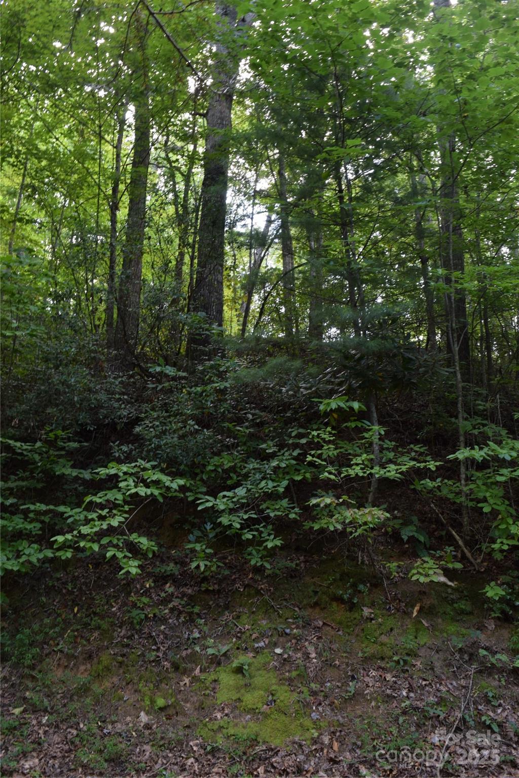 Tbd Hideaway Ridge Trail Robbinsville NC 28771