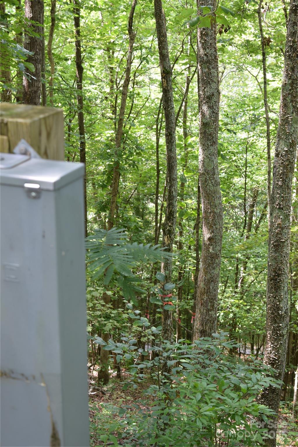 Tbd Hideaway Ridge Trail Robbinsville NC 28771