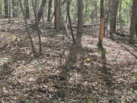 Lot 172 West Lake Drive N Lake Lure NC 28746