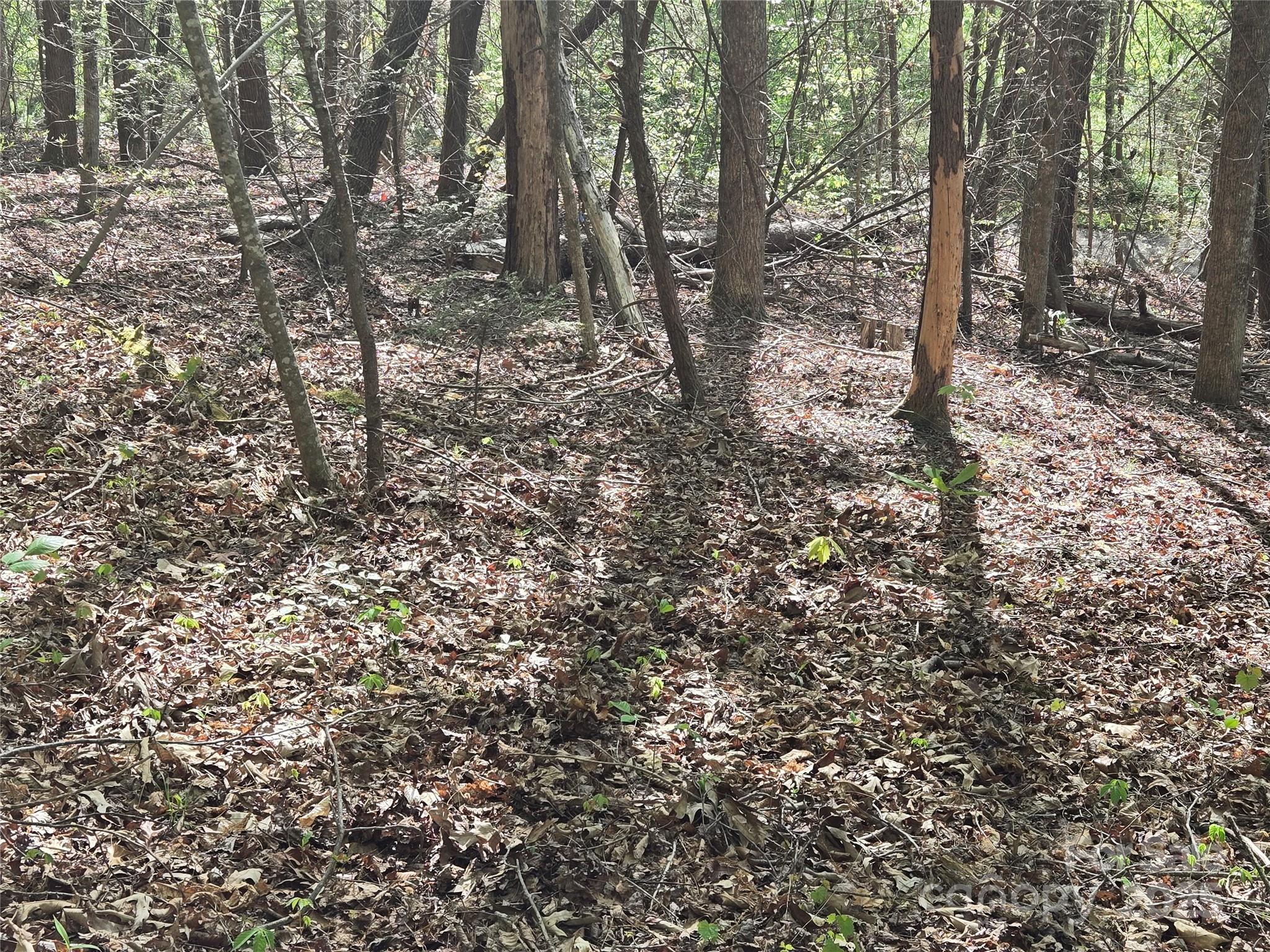 Lot 172 West Lake Drive N Lake Lure NC 28746