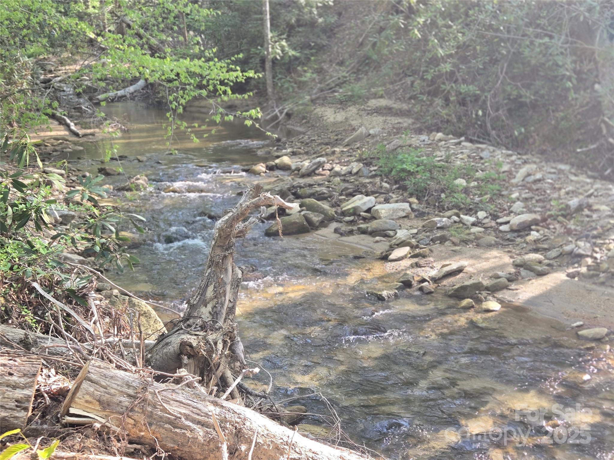 Lot 172 West Lake Drive N Lake Lure NC 28746