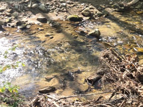 Lot 172 West Lake Drive N Lake Lure NC 28746