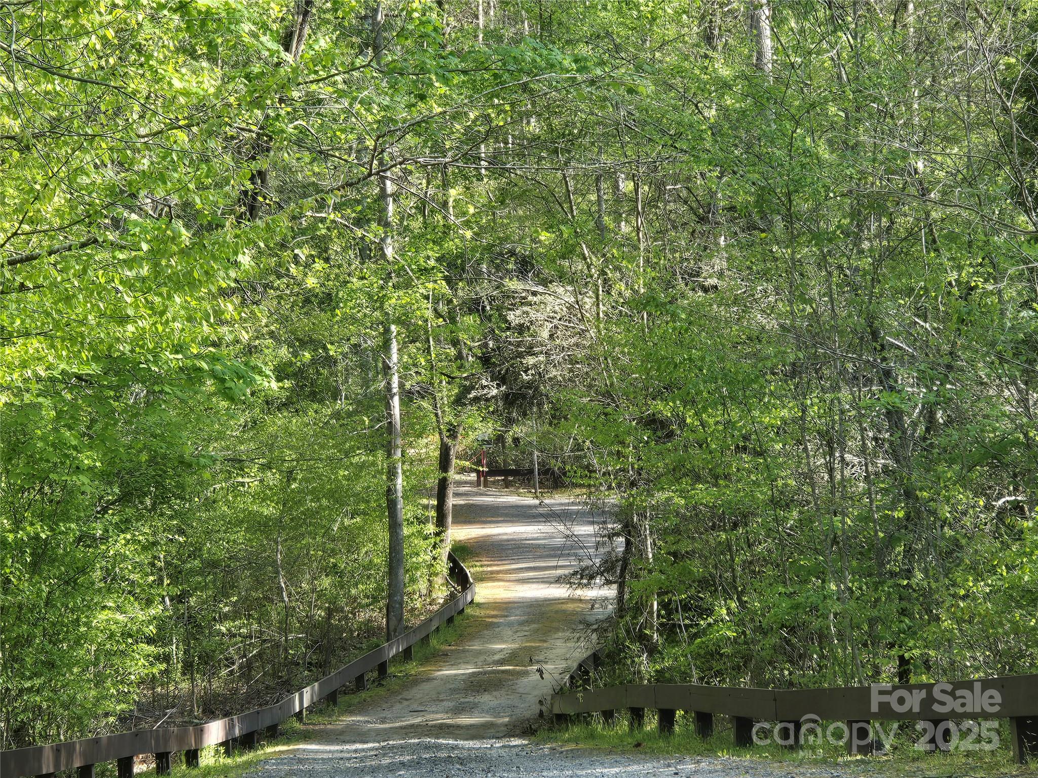 Lot 172 West Lake Drive N Lake Lure NC 28746