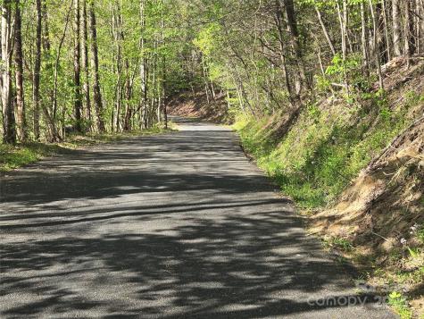 Lot 172 West Lake Drive N Lake Lure NC 28746