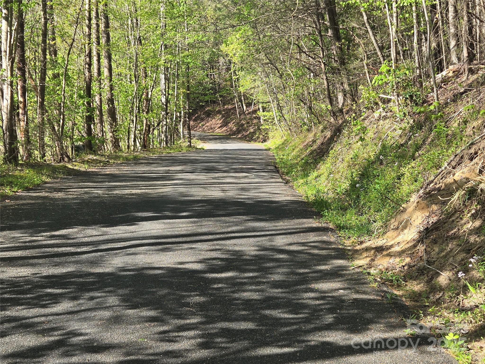 Lot 172 West Lake Drive N Lake Lure NC 28746