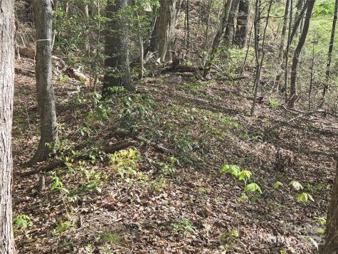Lot 172 West Lake Drive N Lake Lure NC 28746