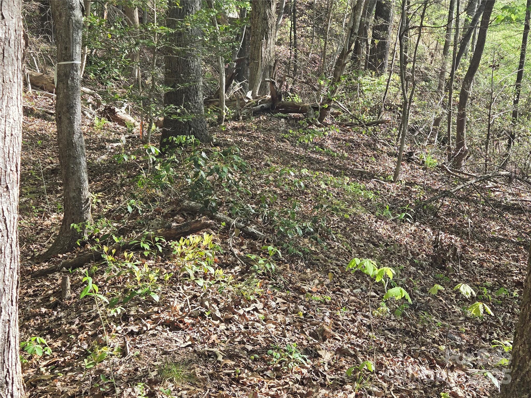 Lot 172 West Lake Drive N Lake Lure NC 28746