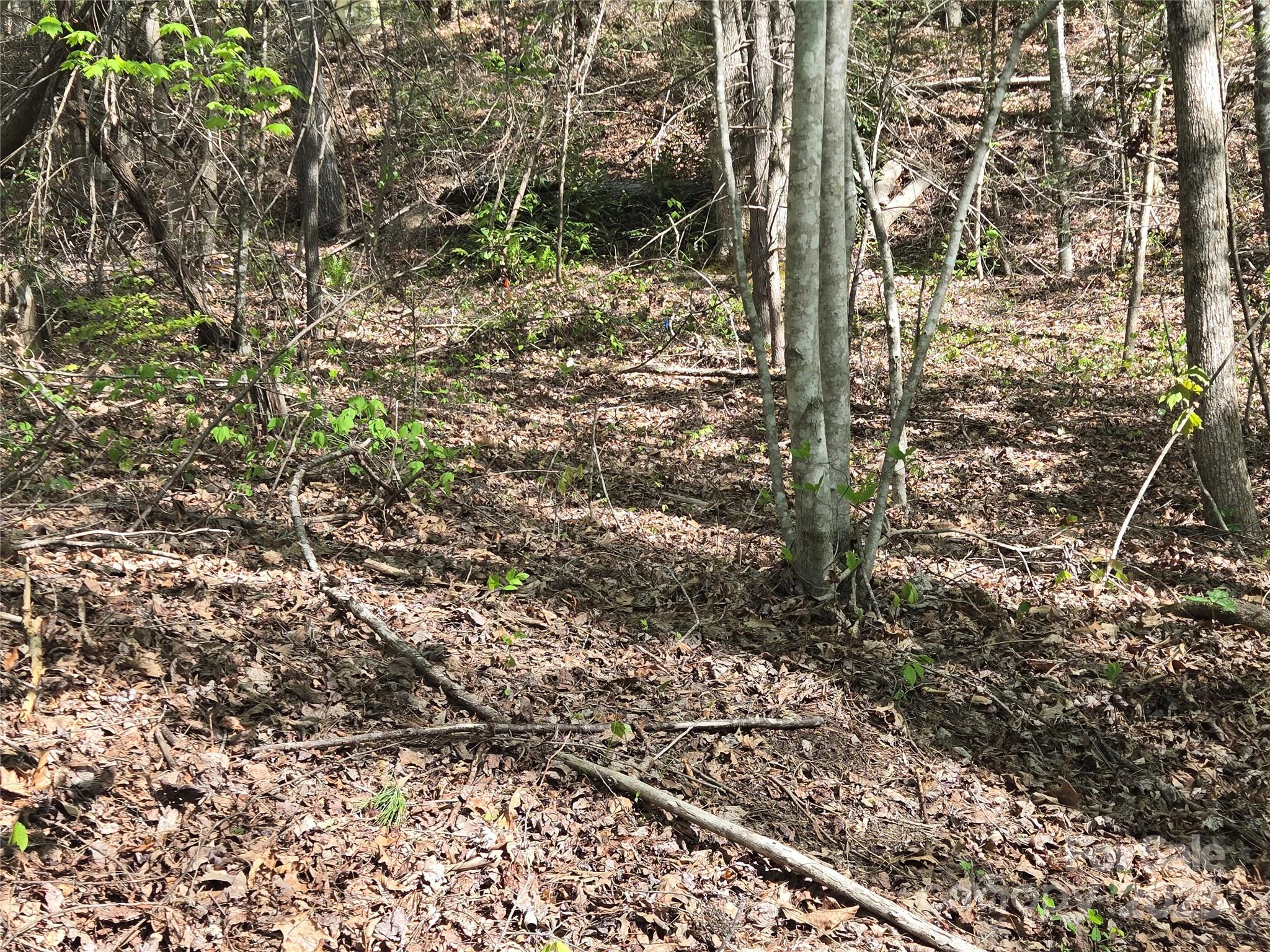 Lot 172 West Lake Drive N Lake Lure NC 28746