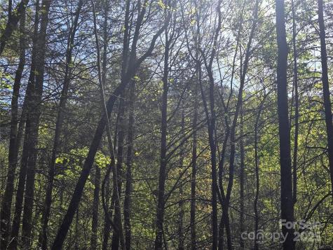 Lot 172 West Lake Drive N Lake Lure NC 28746