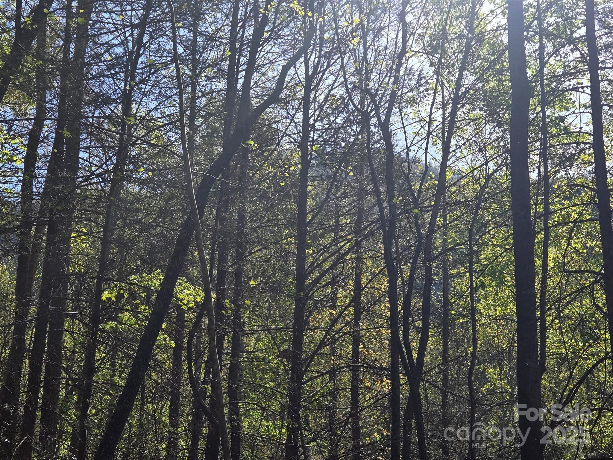 Lot 172 West Lake Drive N Lake Lure NC 28746