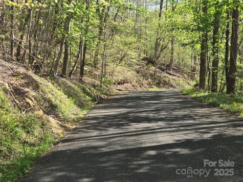 Lot 172 West Lake Drive N Lake Lure NC 28746