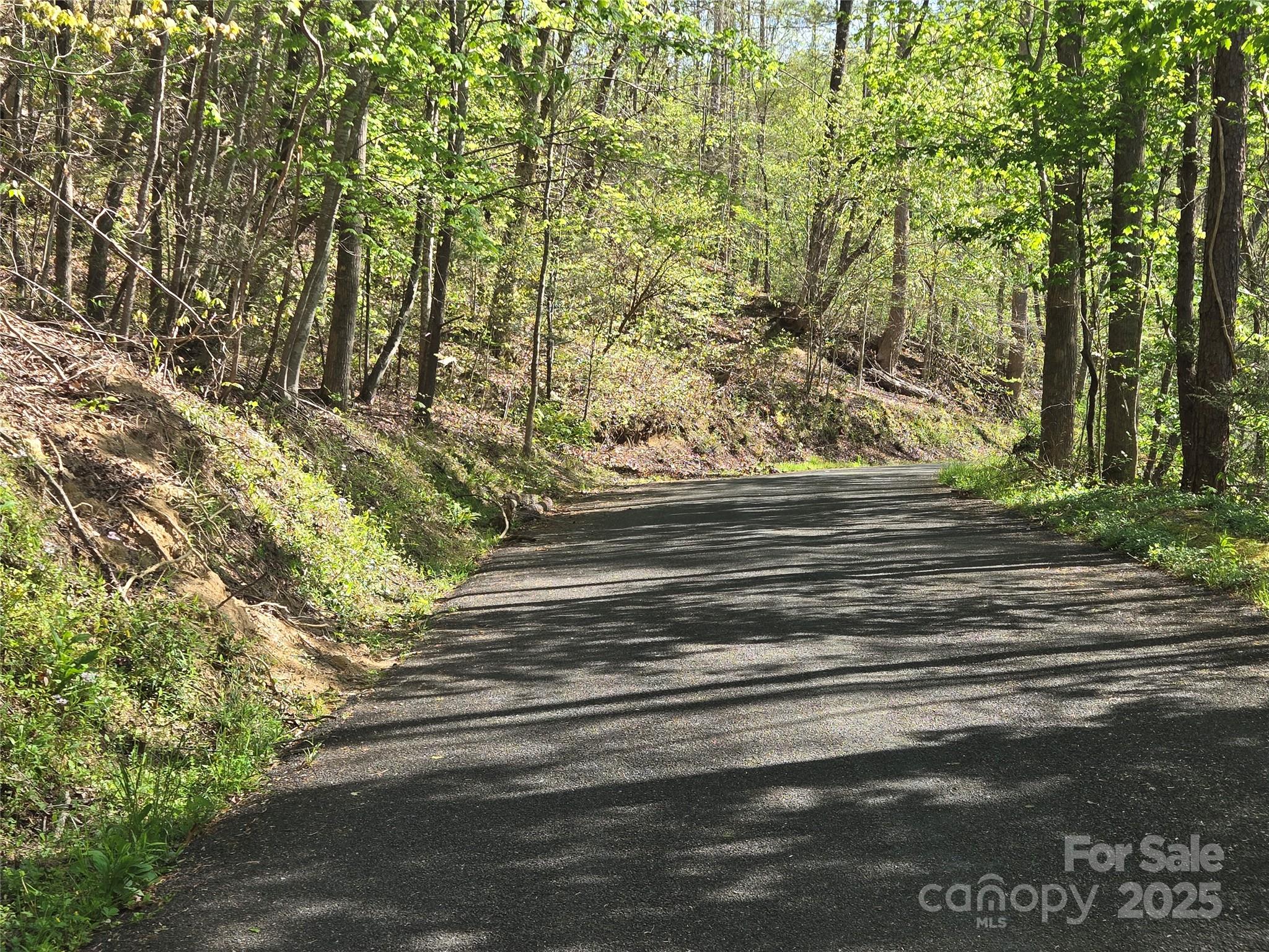 Lot 172 West Lake Drive N Lake Lure NC 28746