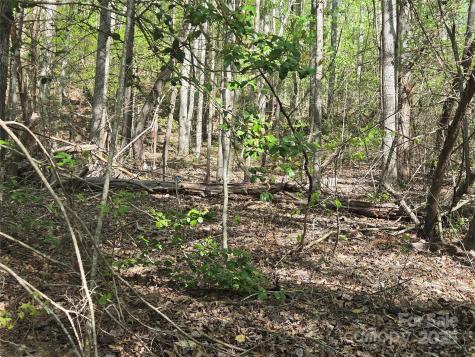 Lot 172 West Lake Drive N Lake Lure NC 28746