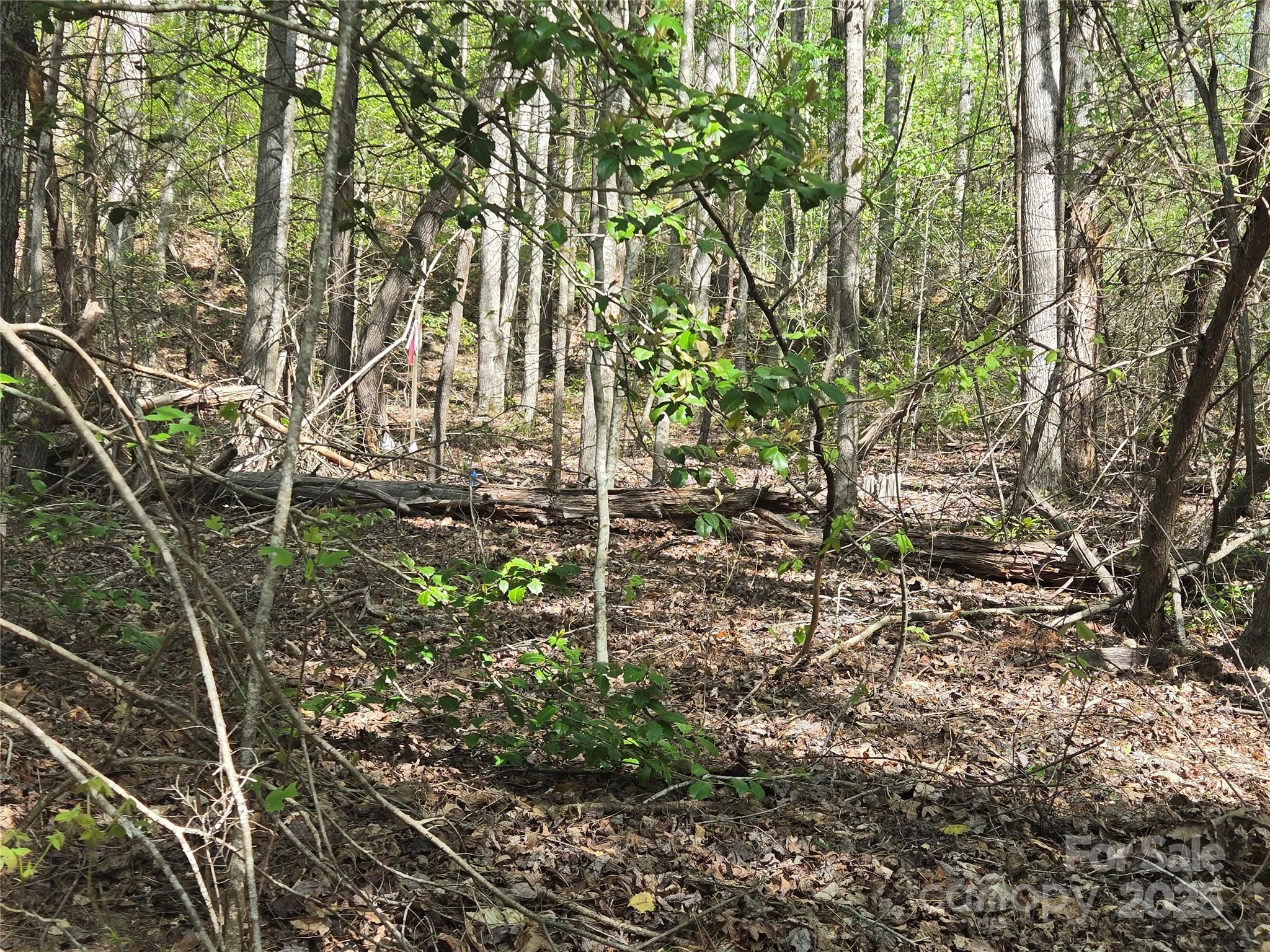 Lot 172 West Lake Drive N Lake Lure NC 28746