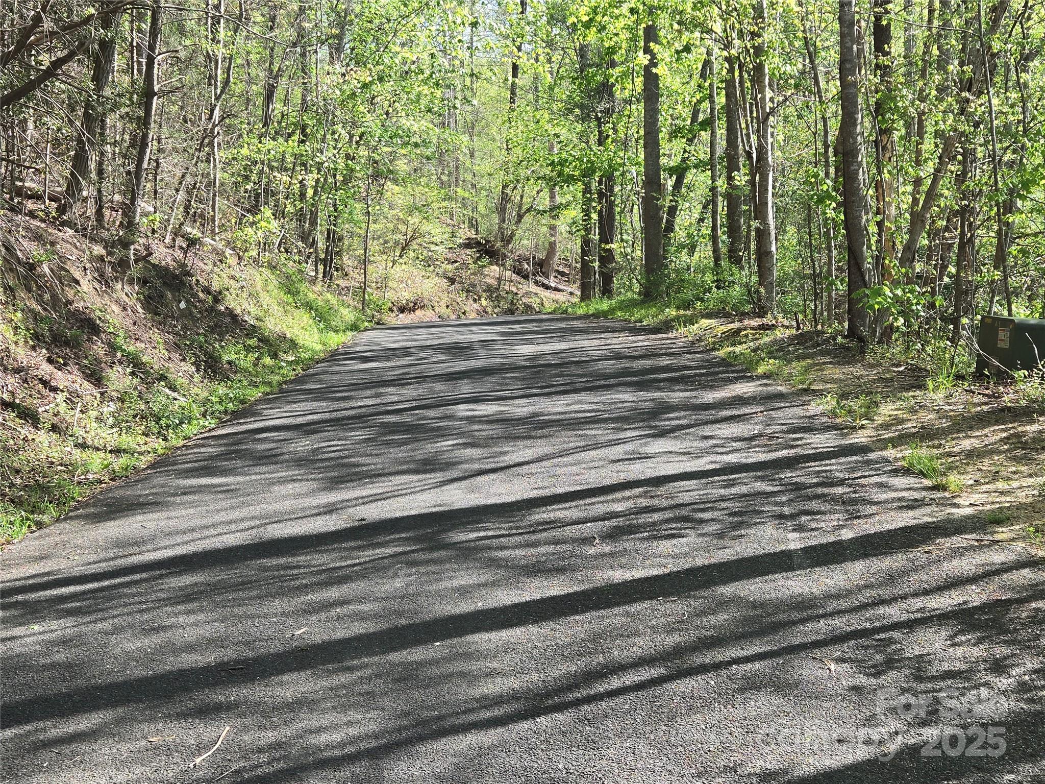 Lot 172 West Lake Drive N Lake Lure NC 28746