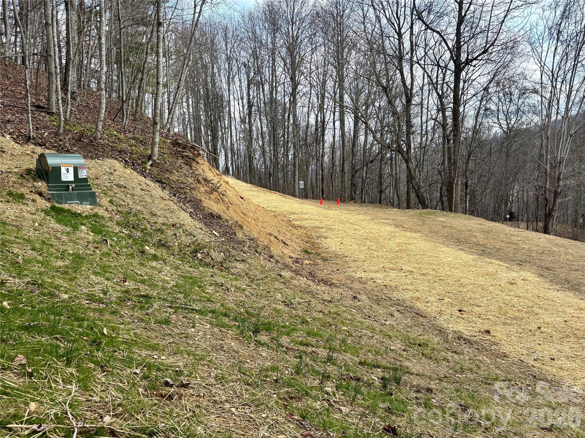 (NE Lot) Meadow Fork Road Hot Springs NC 28743