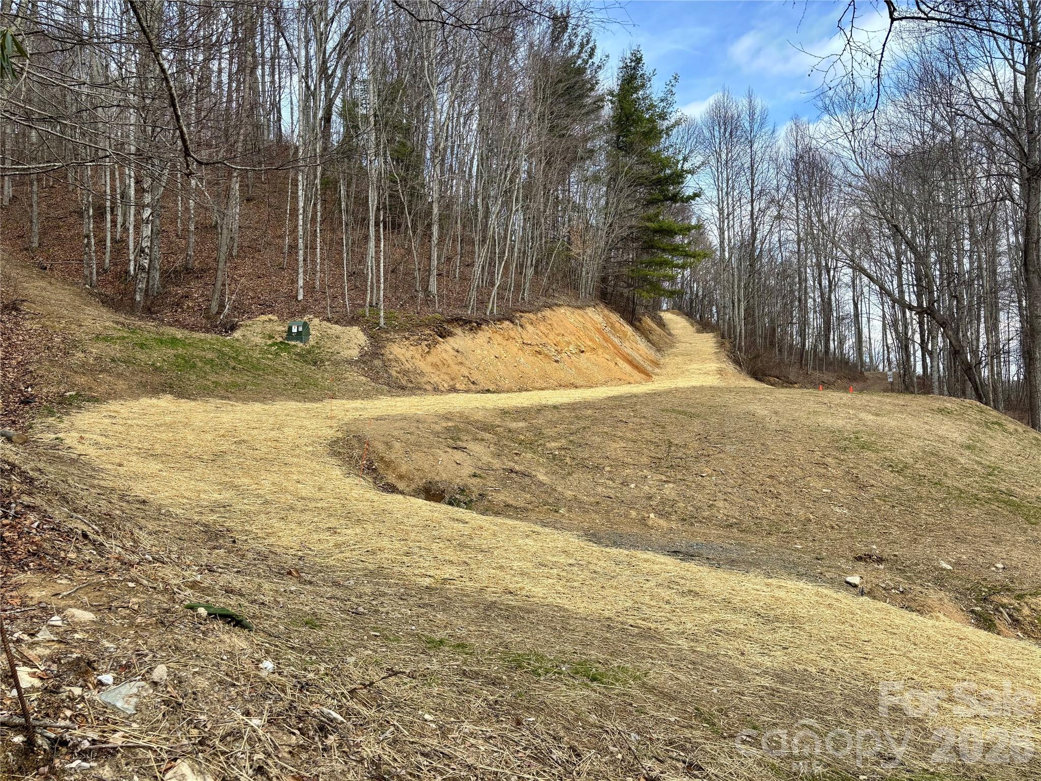 (NE Lot) Meadow Fork Road Hot Springs NC 28743