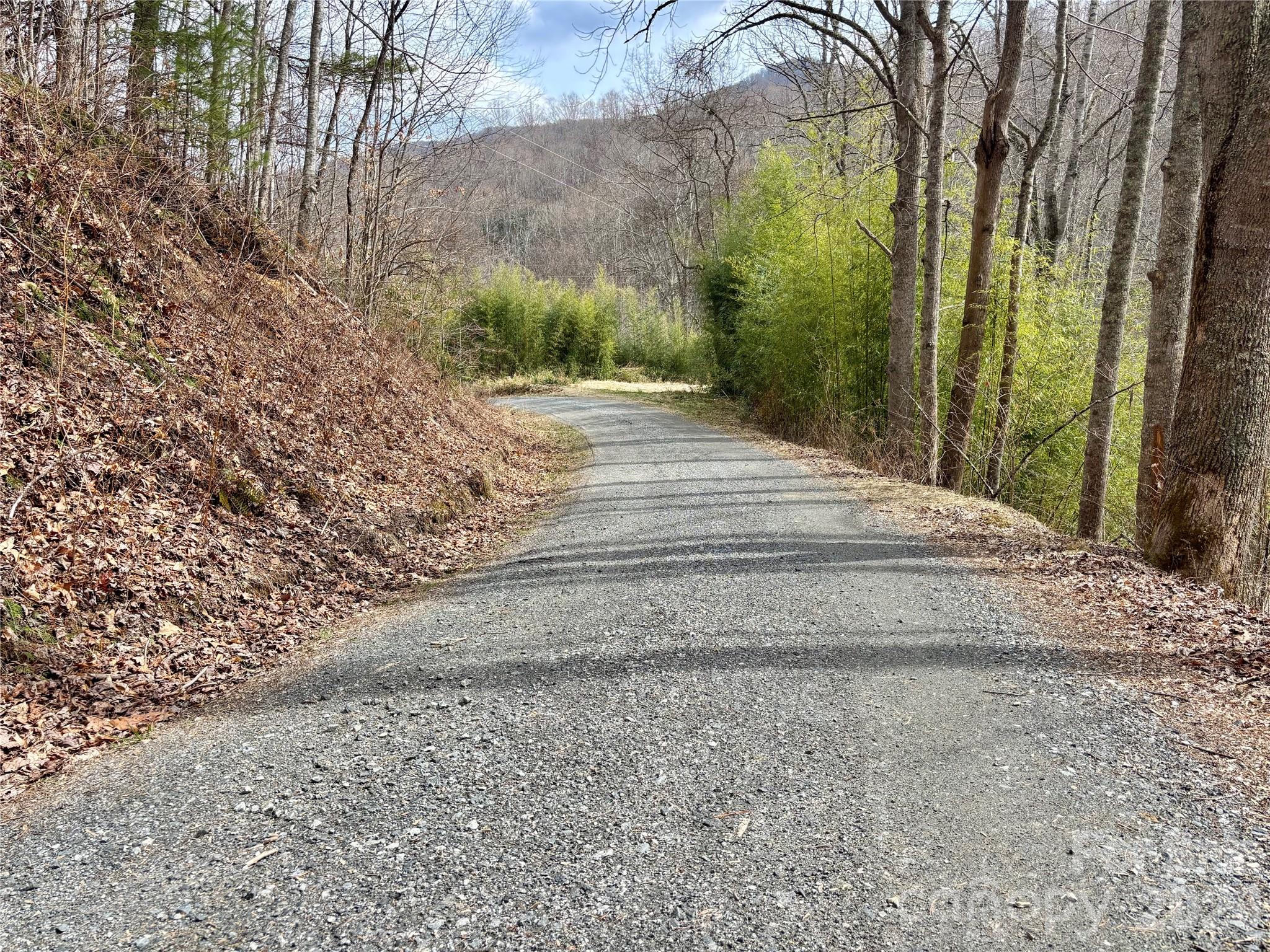 (NE Lot) Meadow Fork Road Hot Springs NC 28743