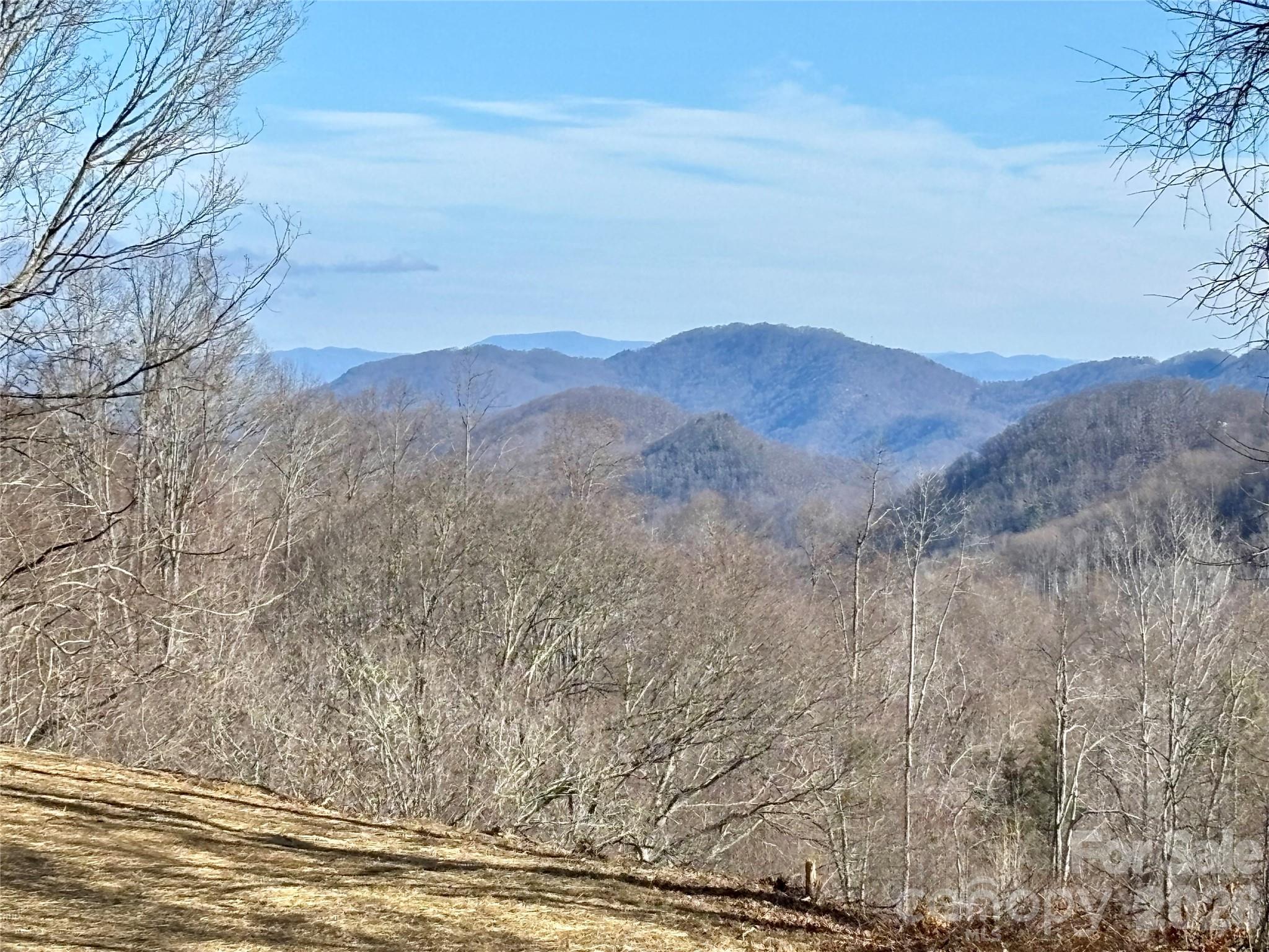 (NE Lot) Meadow Fork Road Hot Springs NC 28743