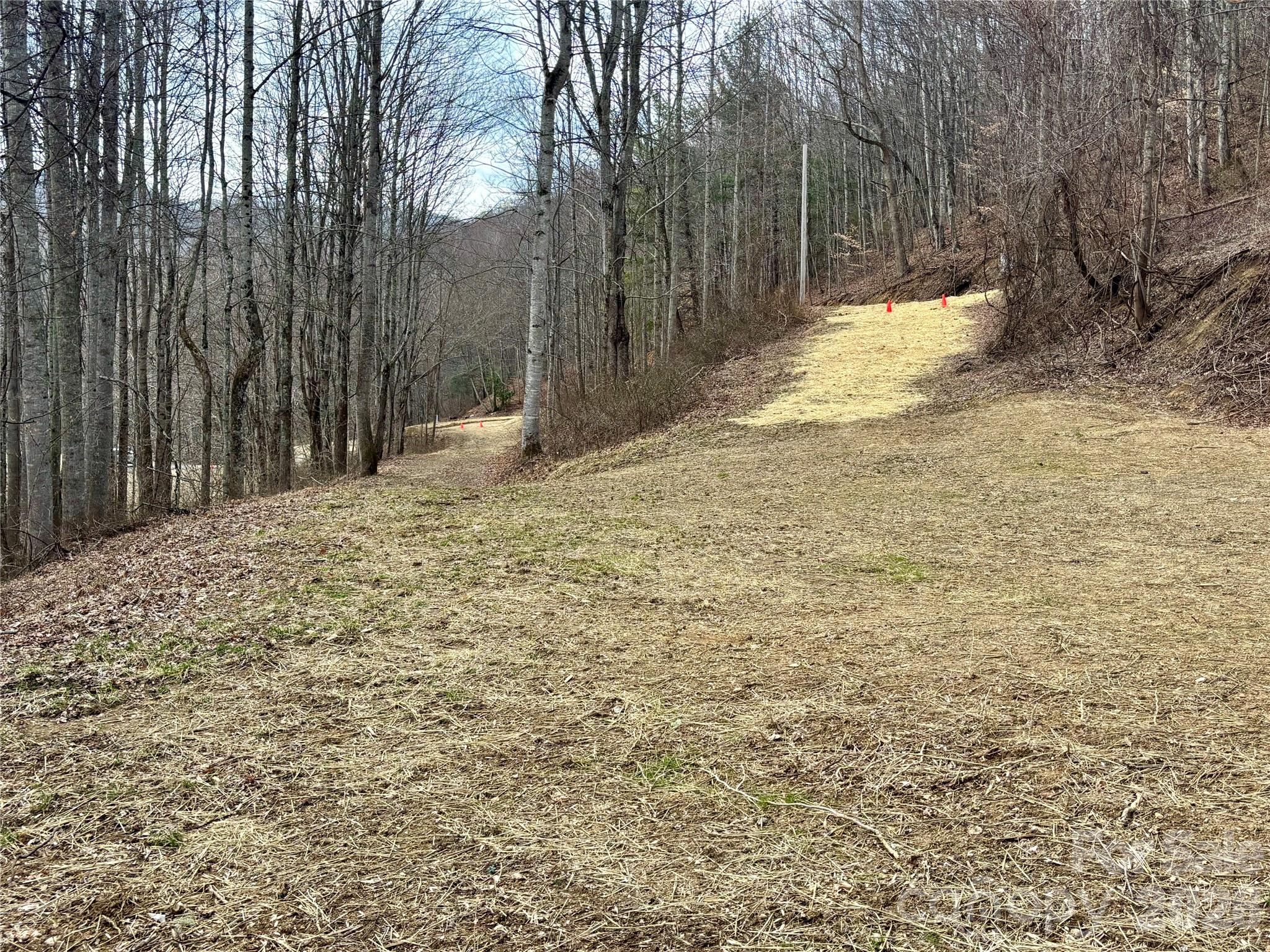 (NE Lot) Meadow Fork Road Hot Springs NC 28743