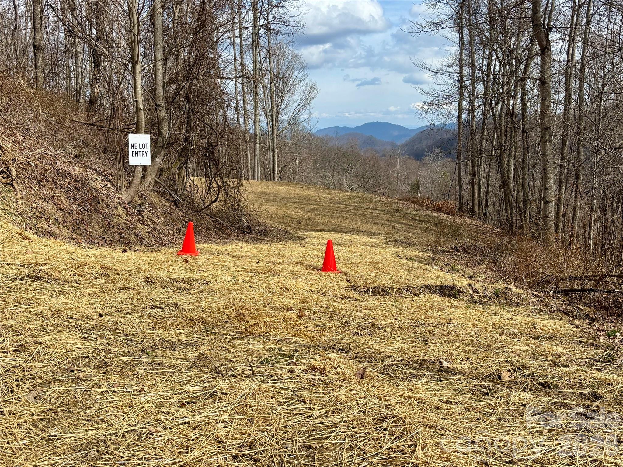 (NE Lot) Meadow Fork Road Hot Springs NC 28743