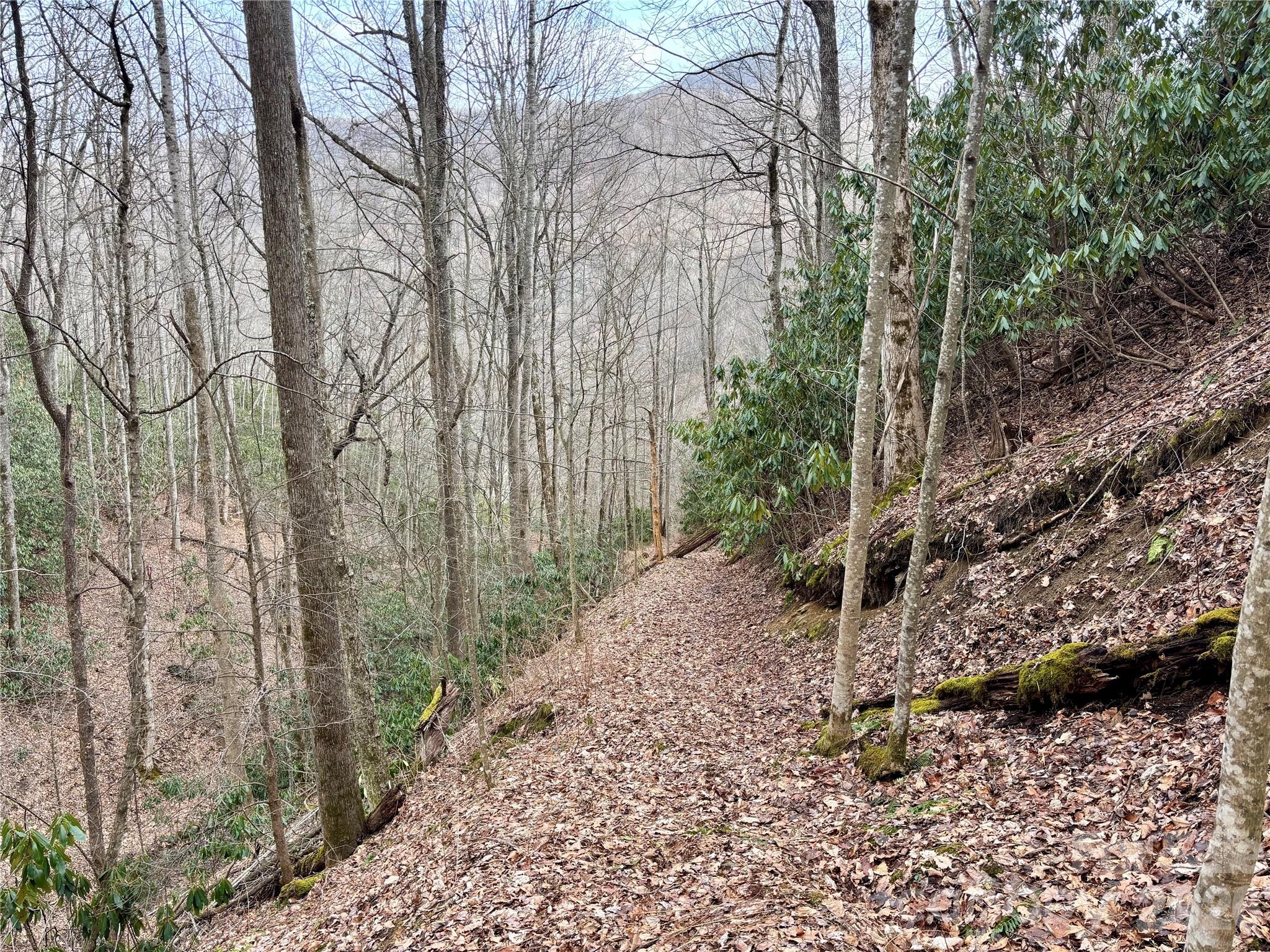 (NE Lot) Meadow Fork Road Hot Springs NC 28743